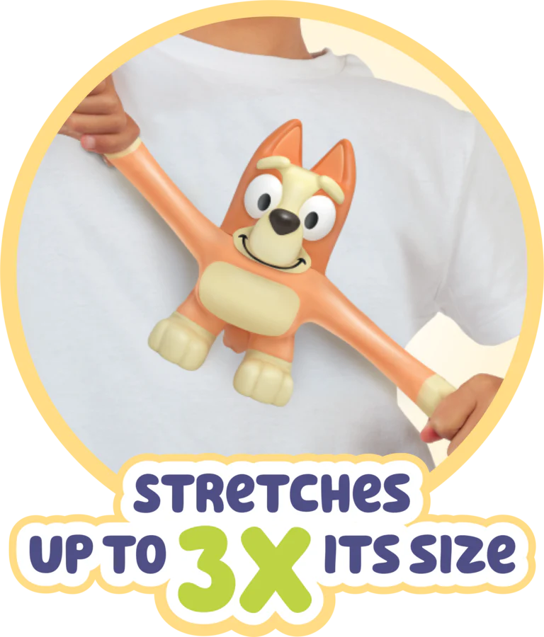 BLUEY Bingo Stretchy Squishy