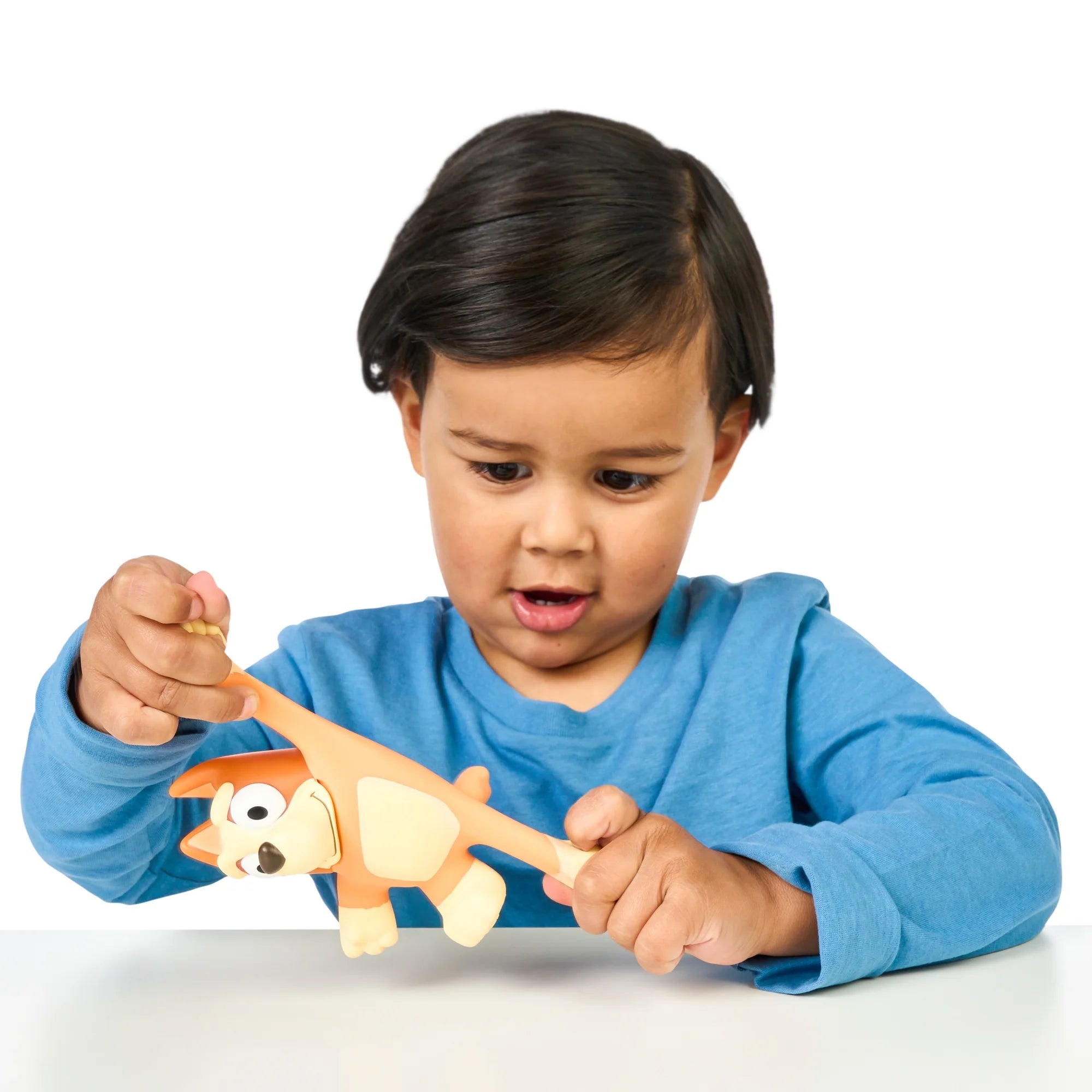 BLUEY Bingo Stretchy Squishy